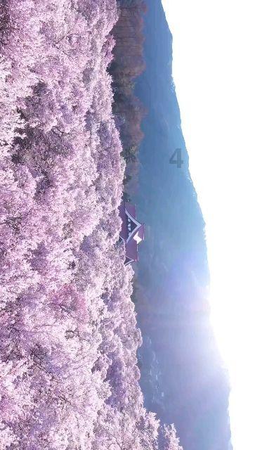 4399灭神